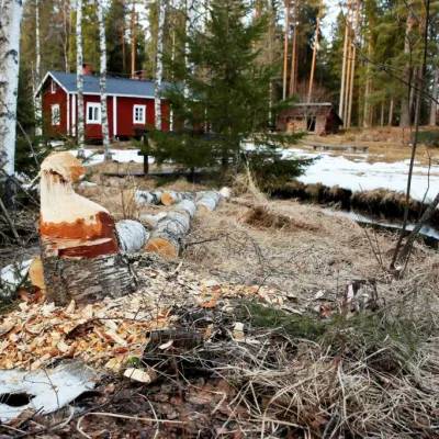 Evo – Etelä-Suomen erähelmi - Metsästys ja Kalastus