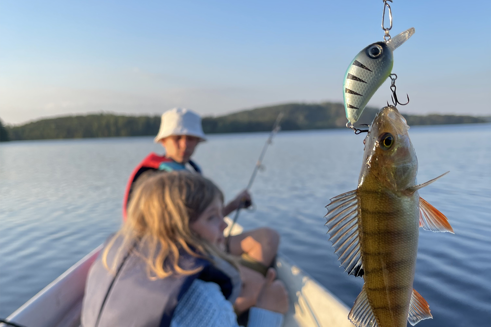 Optimal Way Ambitious Metsähallitus uudisti alle 15-vuotiaiden kalastuslupia – viikon maksuton  vapalupa poistui - Metsästys ja Kalastus