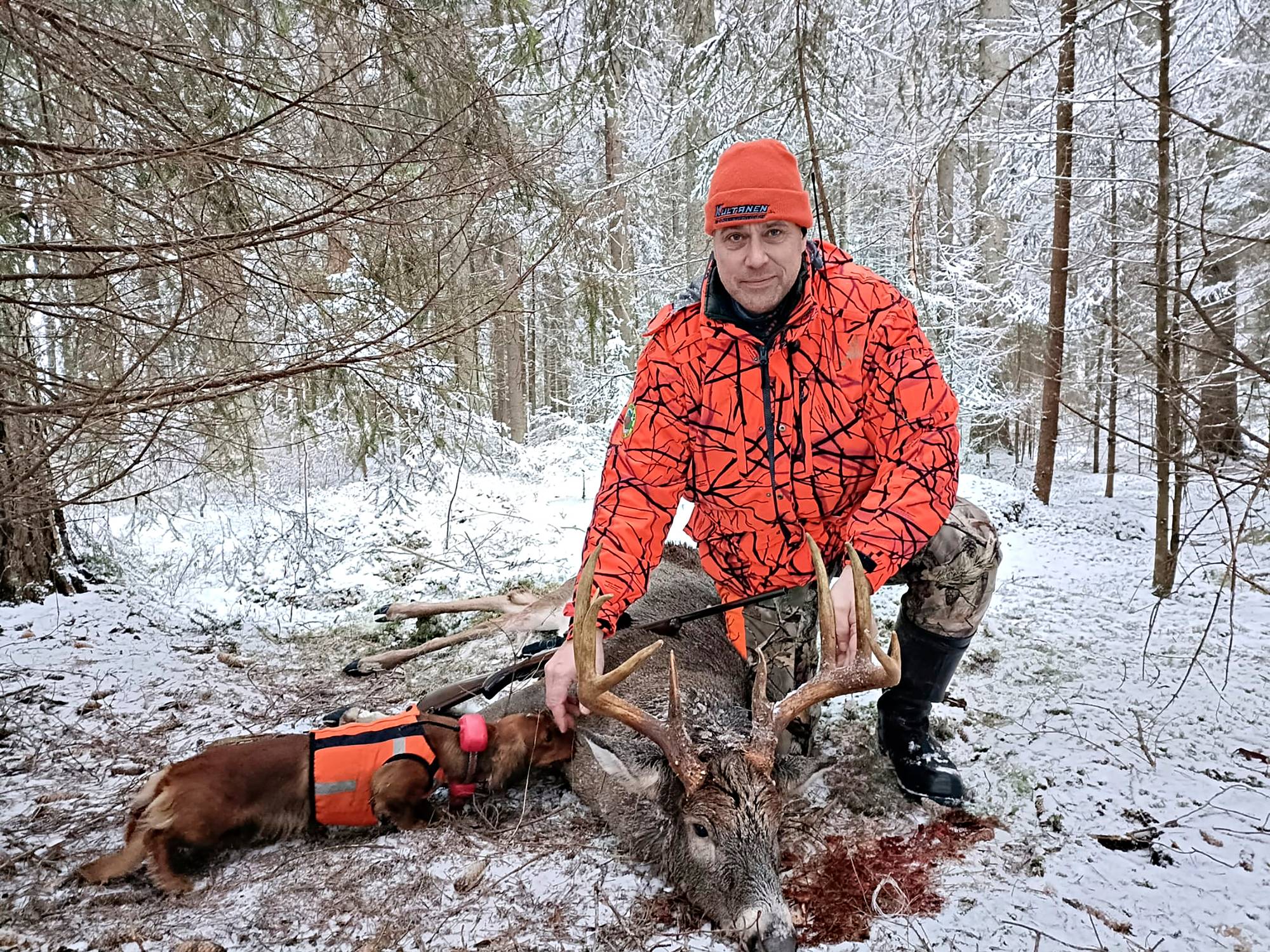 Tynkäjigit ovat ahvenen mieleen - Metsästys ja Kalastus