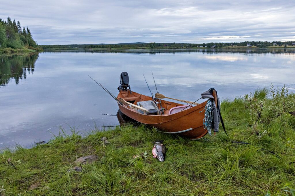 Mets�stys ja Kalastus