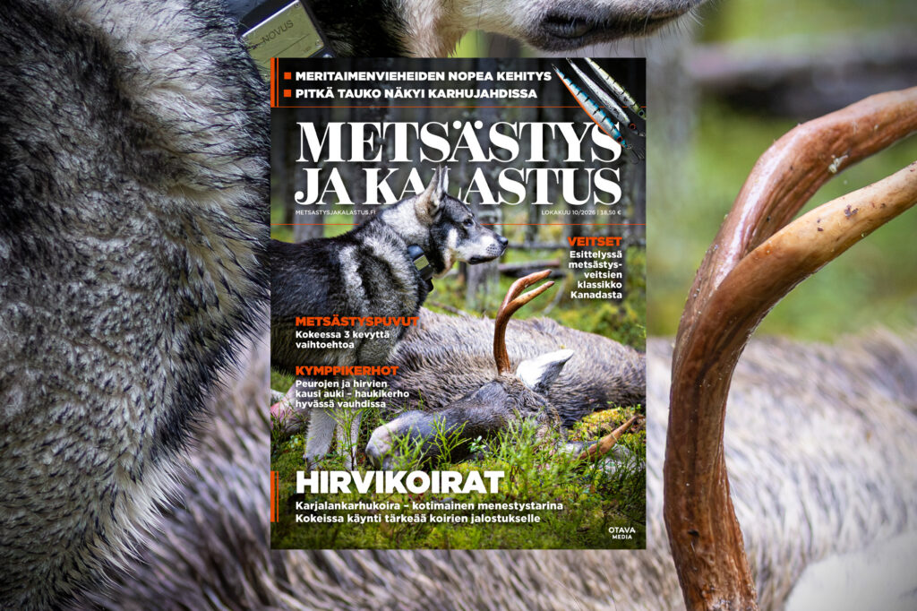 Mets�stys ja Kalastus